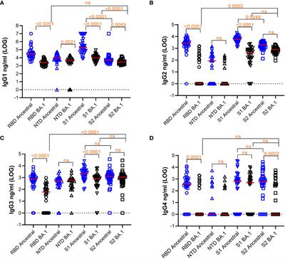 Antibodies to S2 domain of SARS-CoV-2 spike protein in Moderna mRNA vaccinated subjects sustain antibody-dependent NK cell-mediated cell cytotoxicity against Omicron BA.1